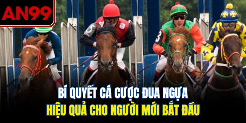 Bí Quyết Cá Cược Đua Ngựa Hiệu Quả Cho Người Mới Bắt Đầu