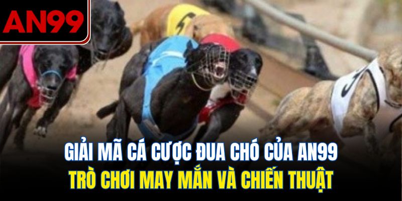 Giải Mã Cá Cược Đua Chó – Trò Chơi May Mắn Và Chiến Thuật
