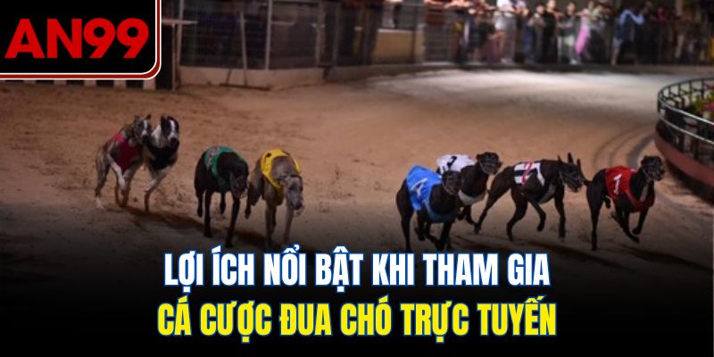 Lợi Ích Nổi Bật Khi Tham Gia Cá Cược Đua Chó Trực Tuyến